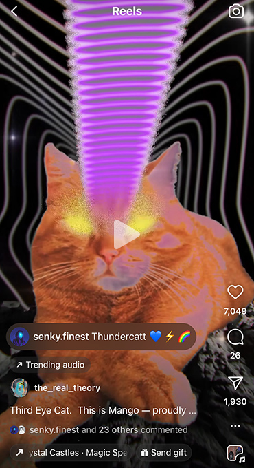Image of an Instagram Reel of a cat named Mango.